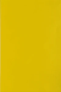 Les yeux brûlés de songes