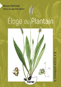 Eloge du plantain