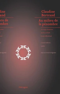 Au milieu de la penombre