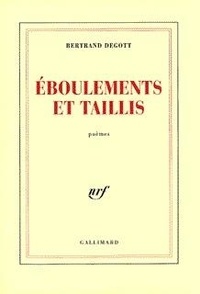 Bertrand Degott - Eboulements et taillis.