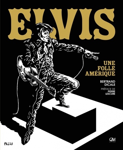 Elvis Presley. Une folle Amérique