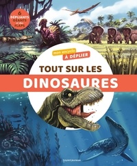 Bertrand Fichou et Sébastien Iglésias - Tout sur les dinosaures - Mon encyclo à déplier.
