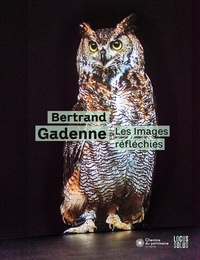 Bertrand Gadenne - Les images réfléchies.