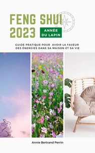 Feng shui année du Lapin