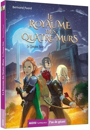 Bertrand Puard et Nicolas Vallée - Le Royaume des Quatre-Murs Tome 1 : Le Donjon noir.