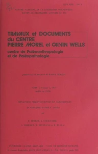 Sépultures mérovingiennes en sarcophages de Creuzier-le-Vieux (Allier)