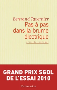 Pas à pas dans la brume électrique