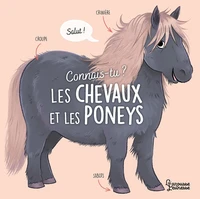 Connais-tu les chevaux et les poneys ?