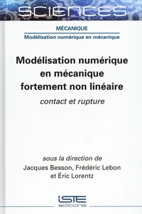 Modélisation numérique en mécanique fortement non linéaire