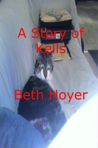 A Story of Kells