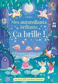 Livre d'autocollants Ca brille !