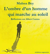 L'ombre d'un homme qui marche au soleil