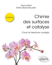 Chimie des surfaces et catalyse