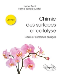 Chimie des surfaces et catalyse