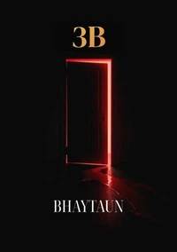 3B