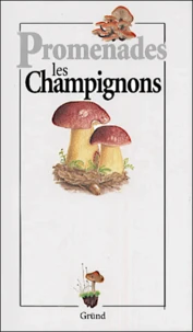 Les Champignons