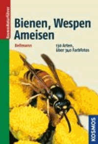 Bienen, Wespen, Ameisen - Hautflügler Mitteleuropas.