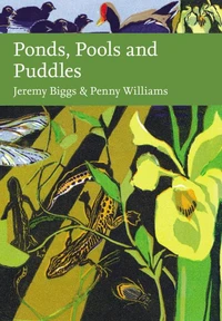 Ponds, Pools and Puddles
