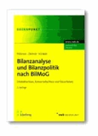 Bilanzanalyse und Bilanzpolitik nach BilMoG - Einzelabschluss, Konzernabschluss und Steuerbilanz..