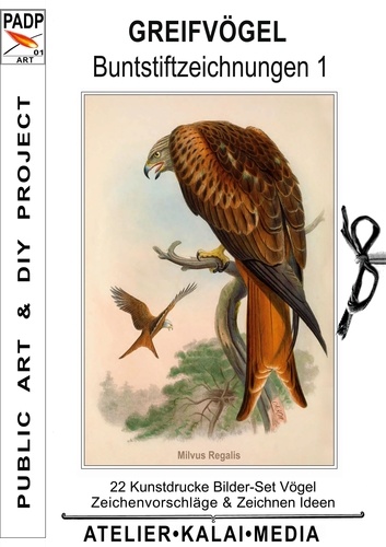 Greifvögel : Buntstiftzeichnungen 1. 22 Kunstdrucke Bilder-Set Vögel, Zeichenvorschläge &amp; Zeichnen Ideen © padp.art/01 isbn-13.eu/9783753459547/buntstiftzeichnung.jpg
