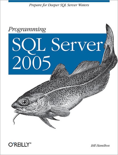 Bill Hamilton - Programming SQL Server 2005.