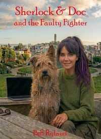 Sherlock &amp; Doc and the Faulty Fighter