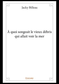 A quoi songeait le vieux débris qui allait voir la mer