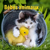 Bébés animaux