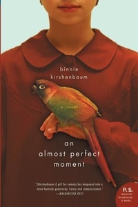 Binnie Kirshenbaum - An Almost Perfect Moment - A Novel.