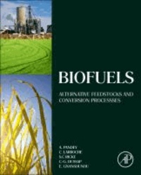 Biofuels - Alternative Feedstocks and Conversion Processes.