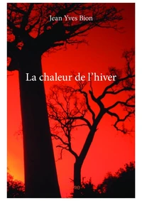 La chaleur de l'hiver
