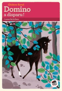 Domino a disparu !