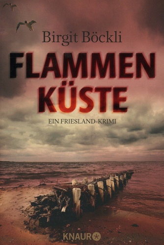 Flammen kuste. Ein Friesland-Krimi