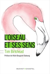 L'oiseau et ses sens