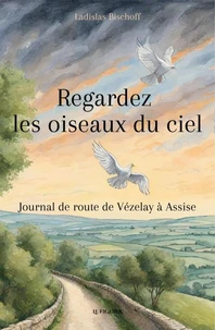 Regardez les oiseaux du ciel