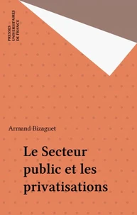 Le secteur public et les privatisations