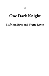 One Dark Knight