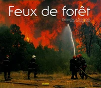 Feux de forêt