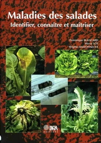 Maladies des salades