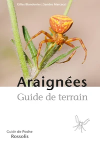 Araignées