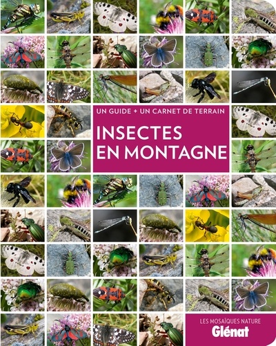 Blandine Delenatte - Insectes en montagne - Un guide + un carnet de terrain.