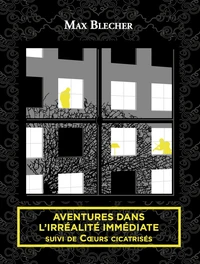Aventures dans l'irréalité immédiate
