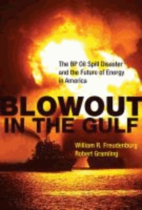 Blowout in the Gulf - The BP Oil Spill Disaster and the Future of Energy in America.