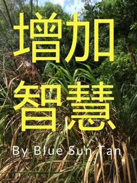 增加智慧
