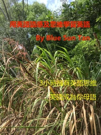 用英語語感及思維學習英語