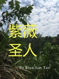 紫薇圣人
