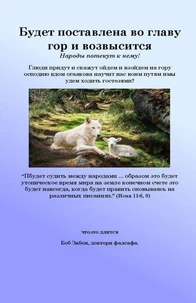 Будет поставлена во главу  гор и возвысится
