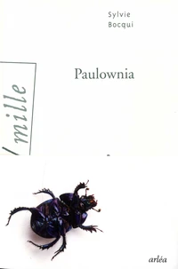 Paulownia