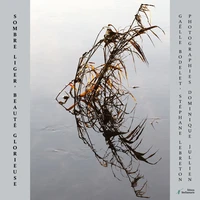 Sombre Liger, beauté glorieuse