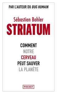 Striatum